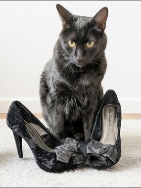 EUC Lulu Townsend Black Crushed Velvet Peep-Toe Heels with Bow Sz 8